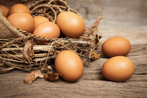 Cage free eggs. Things To Know About Cage free eggs. 